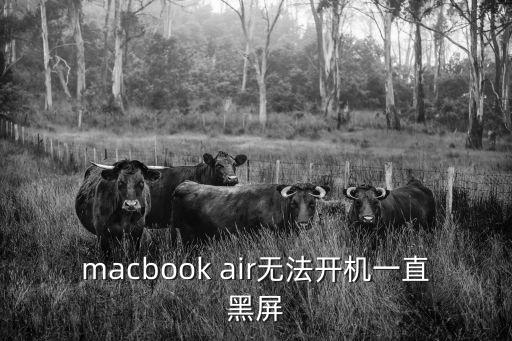 macbook air无法开机一直黑屏