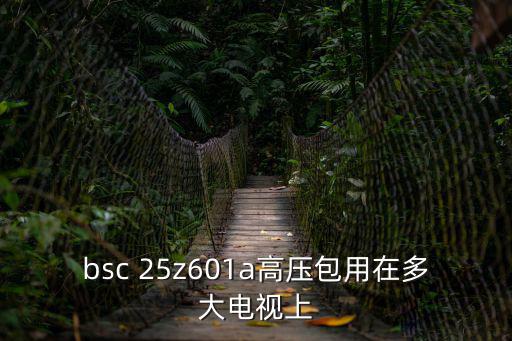 bsc 25z601a高压包用在多大电视上