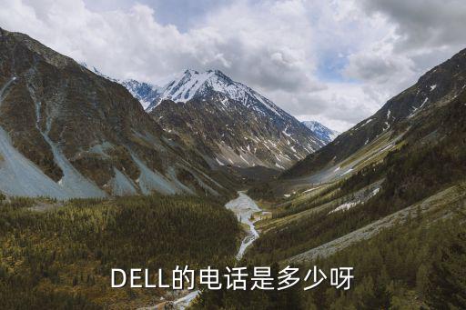 DELL的电话是多少呀