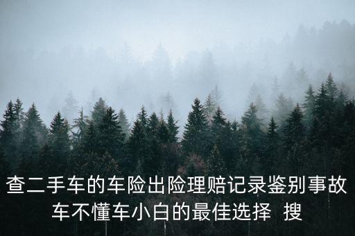 查二手车的车险出险理赔记录鉴别事故车不懂车小白的最佳选择  搜