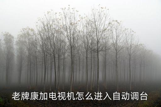 老牌康加电视机怎么进入自动调台