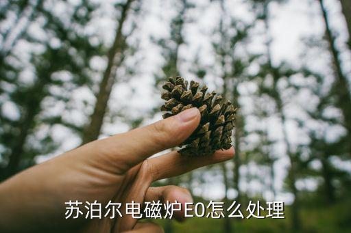 苏泊尔电磁炉E0怎么处理