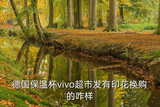 德国保温杯vivo超市发有印花换购的咋样