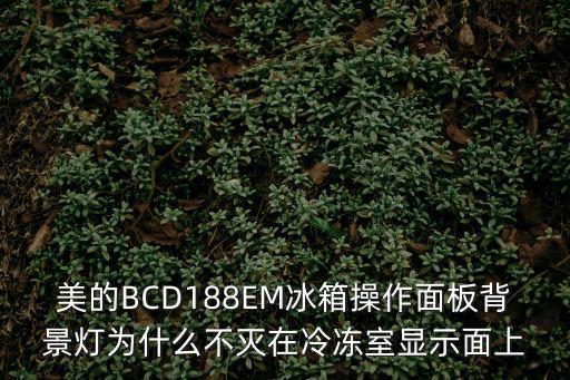 美的BCD188EM冰箱操作面板背景灯为什么不灭在冷冻室显示面上