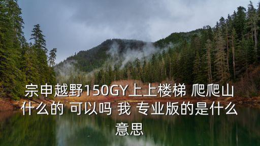 宗申越野150GY上上楼梯 爬爬山什么的 可以吗 我 专业版的是什么意思