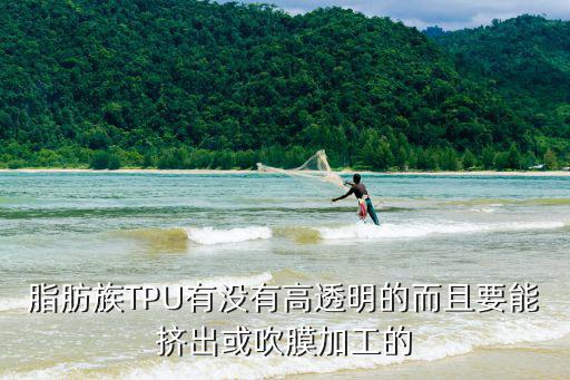 什么是tpu，脂肪族TPU有没有高透明的