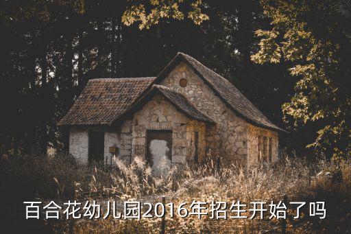 百合花幼儿园2016年招生开始了吗