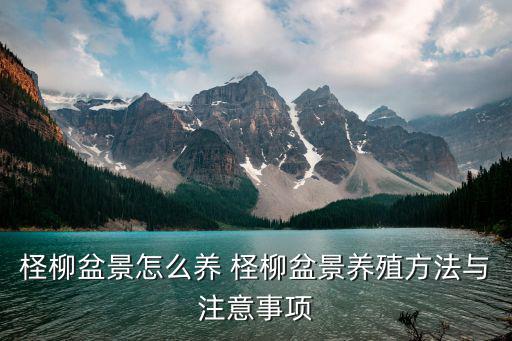 柽柳盆景，柽柳盆景怎么养 柽柳盆景