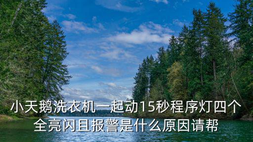 小天鹅洗衣机一起动15秒程序灯四个全亮闪且报警是什么原因请帮