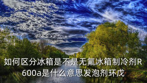 如何区分冰箱是不是无氟冰箱制冷剂R600a是什么意思发泡剂环戊