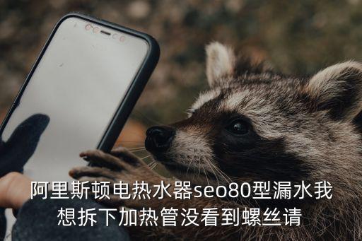 阿里斯顿电热水器seo80型漏水我想拆下加热管没看到螺丝请