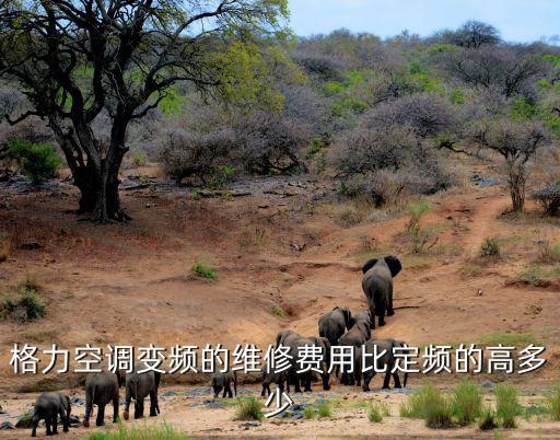 格力空调变频的维修费用比定频的高多少