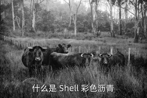 彩色沥青，什么是 Shell 彩色沥青