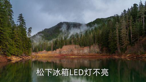 松下冰箱LED灯不亮