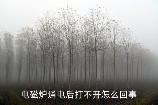 电磁炉通电后打不开怎么回事