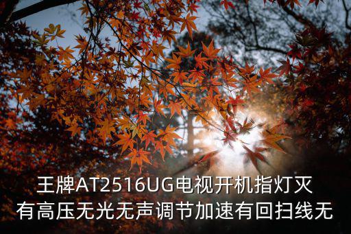 王牌电视怎么复位，王牌AT2516UG电视