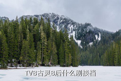 TVB古灵B后什么剧接档