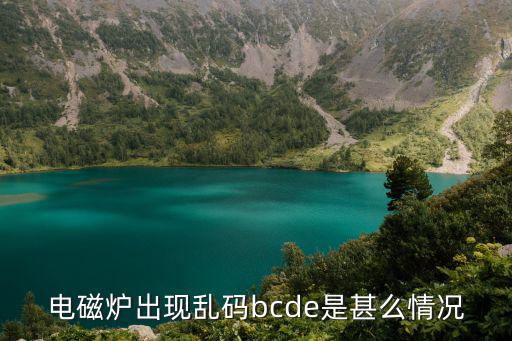 电磁炉出现乱码bcde是甚么情况