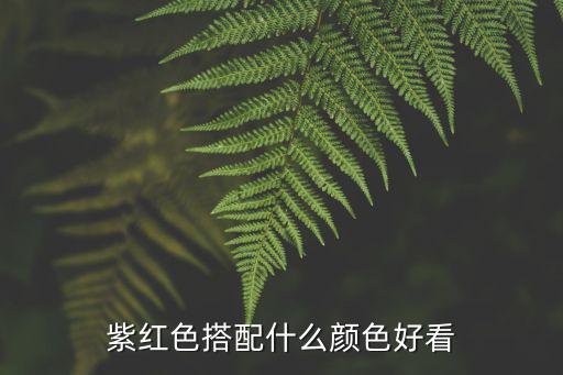 紫红色搭配什么颜色好看