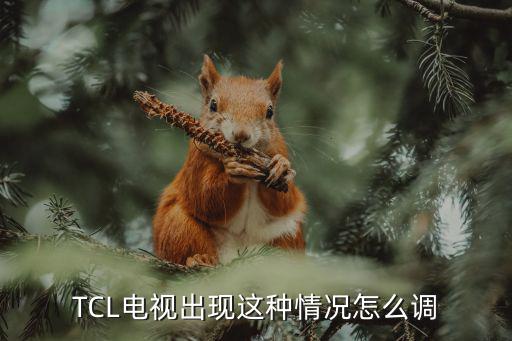 TCL电视出现这种情况怎么调