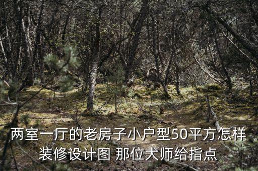 两室一厅的老房子小户型50平方怎样装修设计图 那位大师给指点