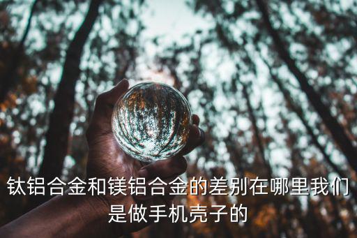 钛铝合金和镁铝合金的差别在哪里我们是做手机壳子的