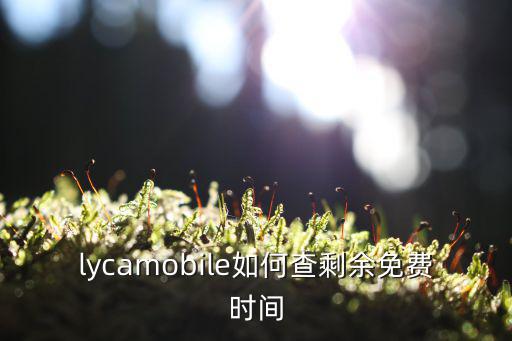 lycamobile如何查剩余免费时间