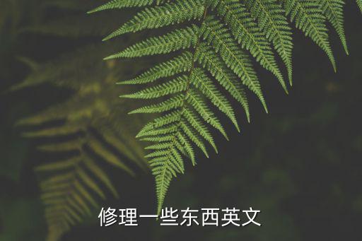 修理一些东西英文