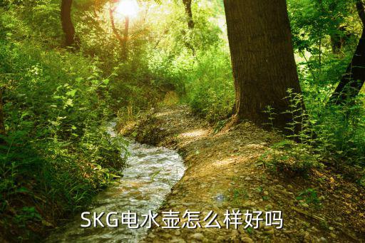 SKG电水壶怎么样好吗