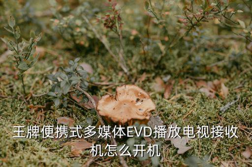 王牌便携式多媒体EVD播放电视接收机怎么开机