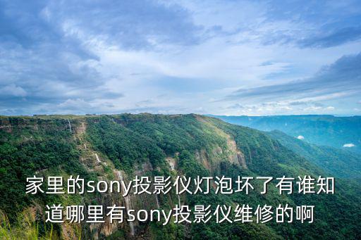 家里的sony投影仪灯泡坏了有谁知道哪里有sony投影仪维修的啊