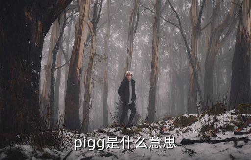 pigg是什么意思