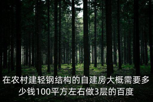 在农村建轻钢结构的自建房大概需要多少钱100平方左右做3层的百度