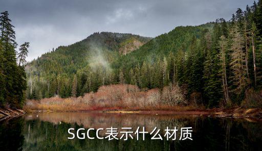 SGCC表示什么材质