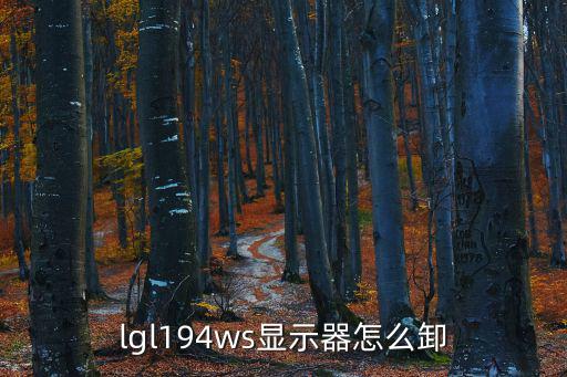 lgl194ws显示器怎么卸