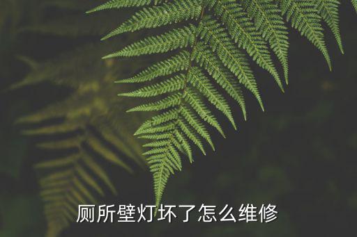 厕所壁灯坏了怎么维修