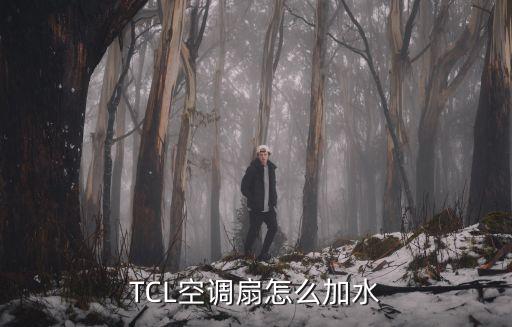 TCL空调扇怎么加水