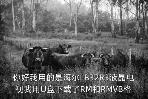 你好我用的是海尔LB32R3液晶电视我用U盘下载了RM和RMVB格