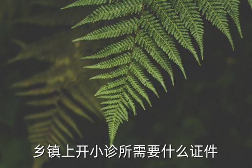 乡镇上开小诊所需要什么证件