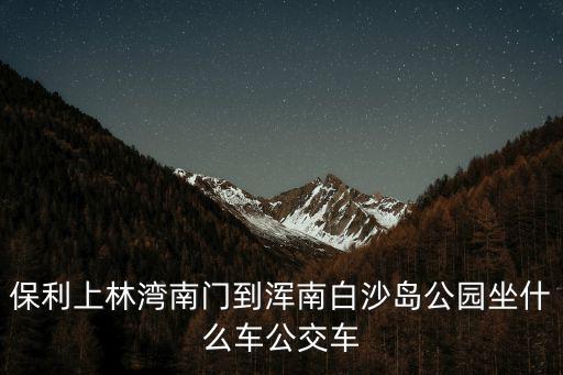 保利上林湾，保利上林湾南门到浑南白