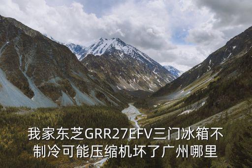 我家东芝GRR27EFV三门冰箱不制冷可能压缩机坏了广州哪里