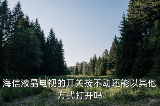 海信液晶电视的开关按不动还能以其他方式打开吗