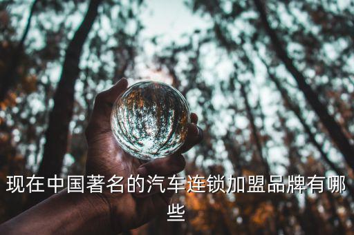 现在中国著名的汽车连锁加盟品牌有哪些