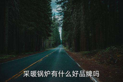 采暖锅炉有什么好品牌吗