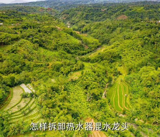 怎样拆卸热水器混水龙头