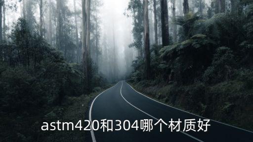 astm420和304哪个材质好