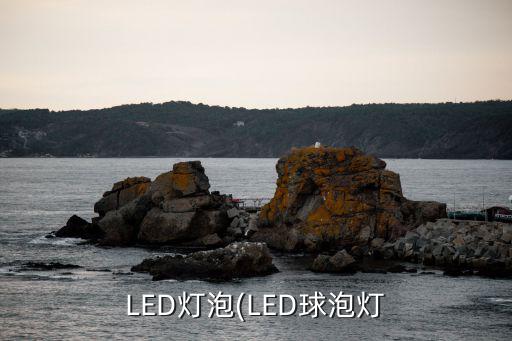 LED灯泡(LED球泡灯