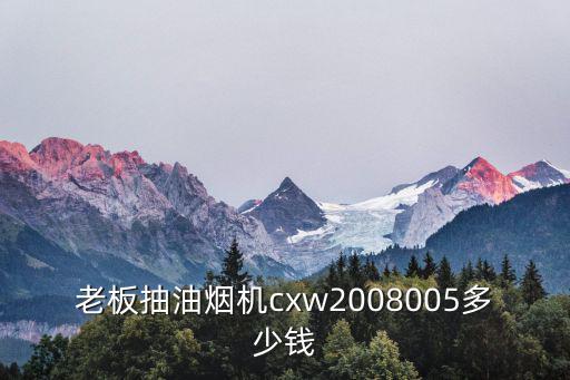 老板抽油烟机cxw2008005多少钱