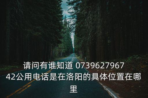 请问有谁知道 073962796742公用电话是在洛阳的具体位置在哪里