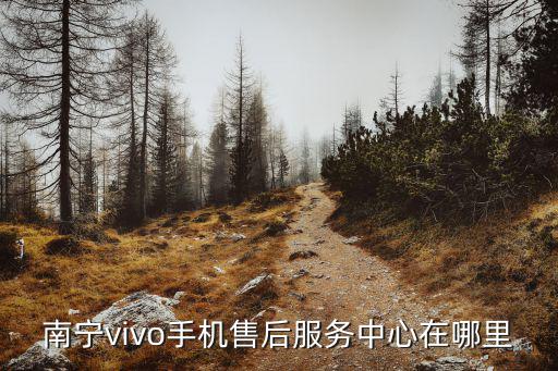 南宁vivo售后服务维修网点，南宁vivo